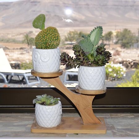 La Guirra Casa Vista Oasis En Fuerteventura 빌라 외부 사진