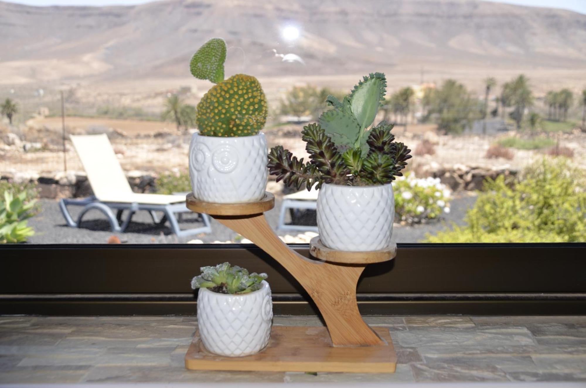 La Guirra Casa Vista Oasis En Fuerteventura 빌라 외부 사진